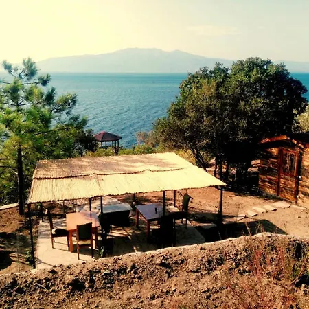 Assos Sivrice Deveboyun