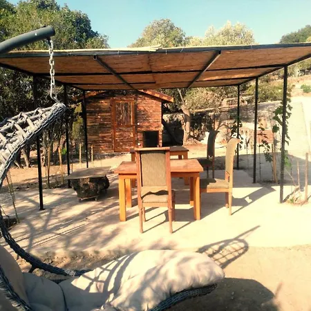 Assos Sivrice Deveboyun Apartment Ayvacik