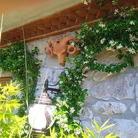 Assos Sivrice Deveboyun Apartment